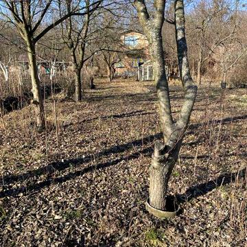 Дача 1,5 поверхова