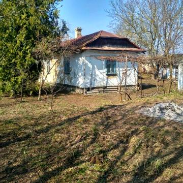 Продам стару хату із великою земельною ділянкою в с.Боремель
