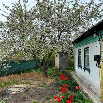 Центральна, 1