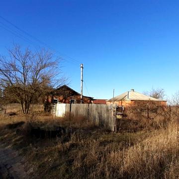 Центральна, 1