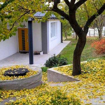 Будинок з ремонтом, біля лісу та озера, Бортничі.