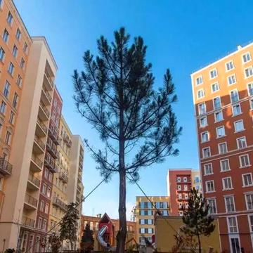 3 кімнатна квартира в ЖК Виа Рома