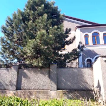 Добротний будинок в Царському Селі-1 з великою ділянкою.