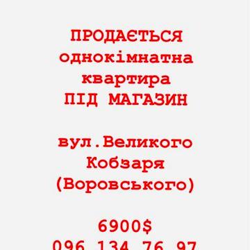 Квартира під магазин в центрі.