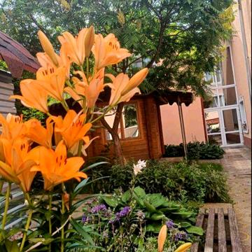 Вільна 1о 2х кім в часному домі район сан Карпати