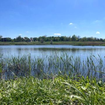 Здам в оренду дачний будинок біля річки в місті Українка