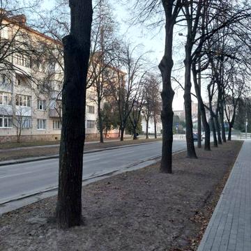 !  кімнатна  в  центрі,  покращене  планування