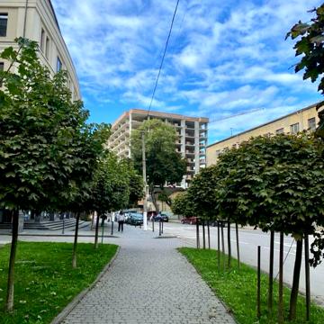 Владики Софрона Мудрого вул., 31
