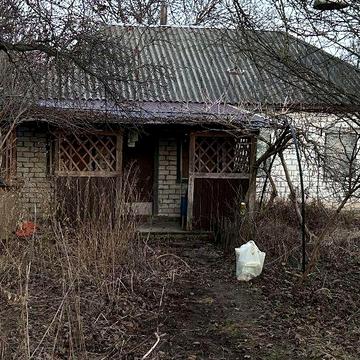 Продам будинок з ділянкою Бірки