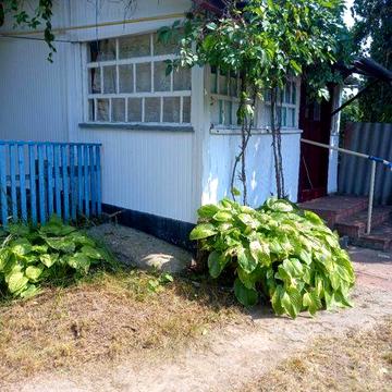 Продам будинок. Київська область, Богуславський район, село Дибинці