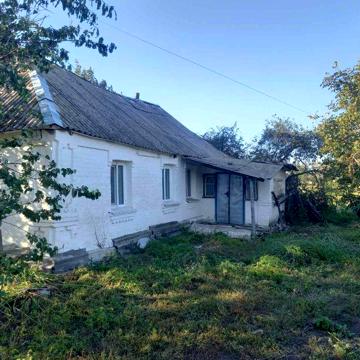 Продається будинок в селі Мовчанівка Бердичевського району(Ружинський)