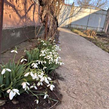 Продам будинок район Телецентру в м. Кропивницький