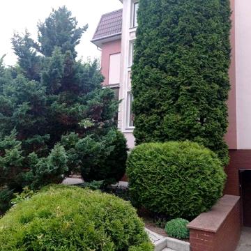 Добротний житловий  будинок  в  районі Золотіїв     175000