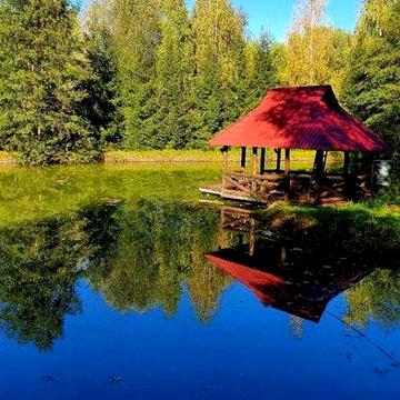 Будинок, 150сот. власне озеро с.Здорівка Васильківський  Київська обл.