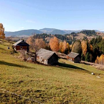 Будинок, земля в горах, Карпати, жилий стан