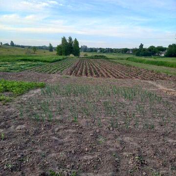 Продаж 8к Дім Шевченка вулиця