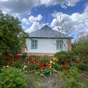 Продаж 4к Дім Терещенка (Леніна) вулиця