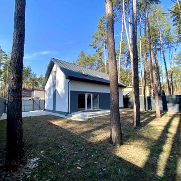 Лісова