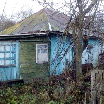 Продам дом с.Борсуков, Черниговская область