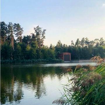 Затишний будинок поруч з річкою в оточенні соснового лісу під Києвом