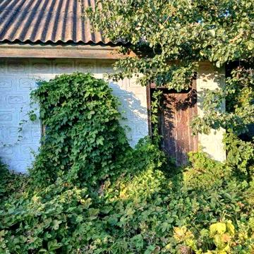 Продам будинок в селі біля ставка Кіровоградська область