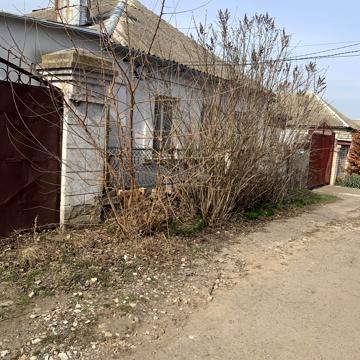 Перший яровий