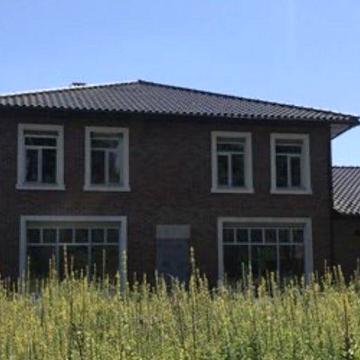 Ровжі, котедж,ліс на подвірʼї