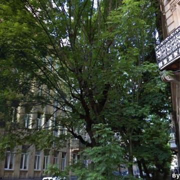 Продаж 2х кім кв-ри в центрі на тихій вулиці Кучера