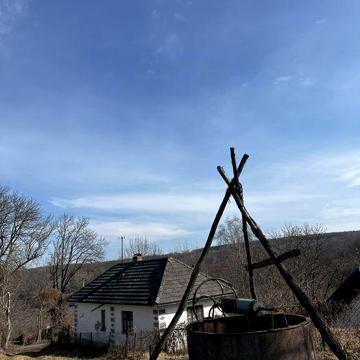 Будинок, земельна ділянка в селі Кокошинці Гусятинського району