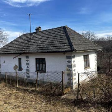 Будинок, земельна ділянка в селі Кокошинці Гусятинського району