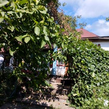 Продается дом, 5000, торг.