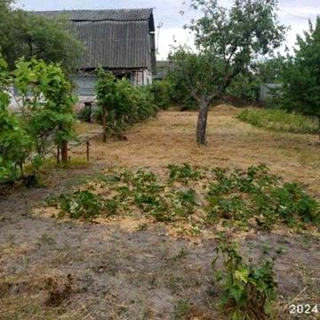 Продається дачний будинок на Вороніна.