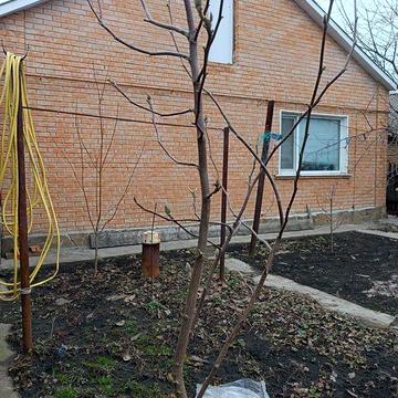 Продам будинок р-н Н.Балашівка