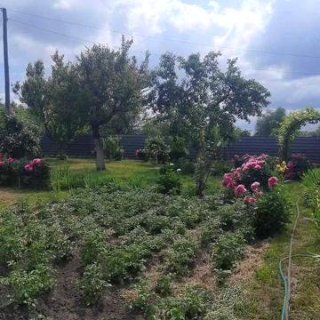 Продам дачу в м. Ніжині по вул. Мічуріна