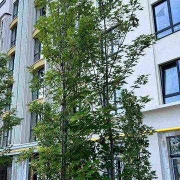ШОК ЦЕНА, новая квартира в Ирпене за 22000$