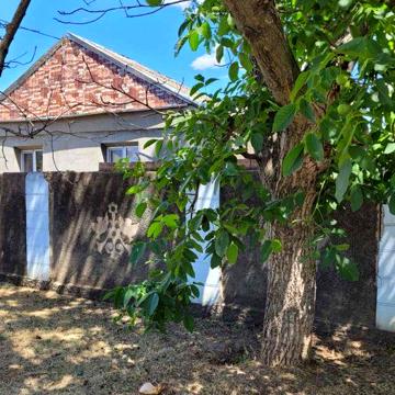 Дім Снігурівка птахофабрика