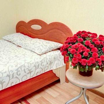 Сдам 1к.кв, 31м, капремонт, мебель, техника, П.Поле, м.Ботсад 3 минуты