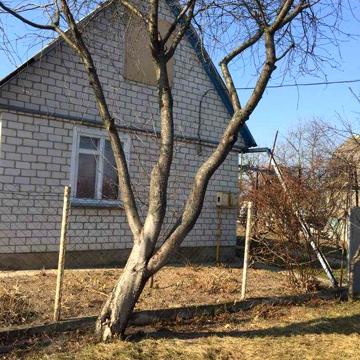 Продаж дачі біля Скибина СТ Дружба