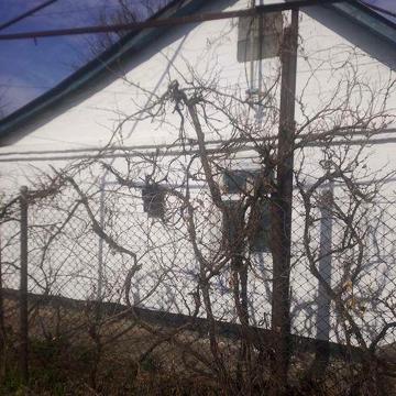 Продам два дачных участка с домами