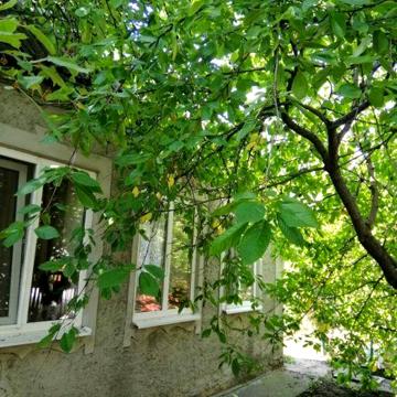 Будинок  м.Вільнянськ  Термінова продаж !!!