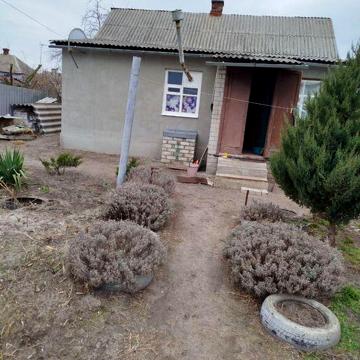 Продам аккуратный домик в Безлюдовке Харьковский район