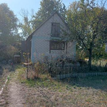 Дача. Сади 3. За Власівкою