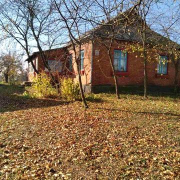 Будинок в селі Терешівці з присадибною ділянкою