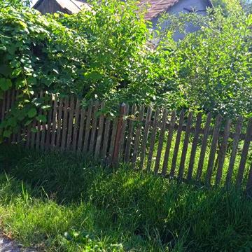 Цегляний будинок в центрі міста від власника