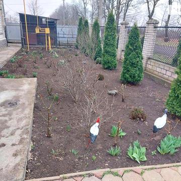 Продаж 6к Дім Тіниста вулиця