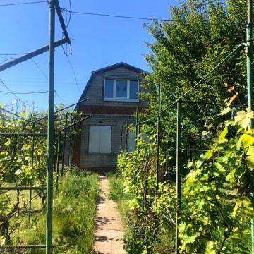 Продам дачу в с. Отрадное (Лозы)