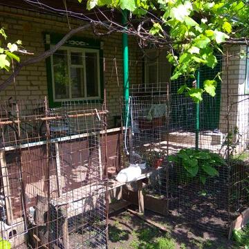 Продаю будинок в Новомосковському р-ні