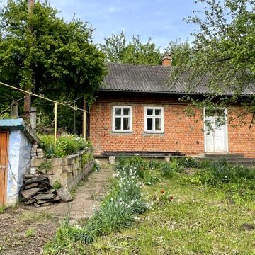 Господарство в селі Давидівці