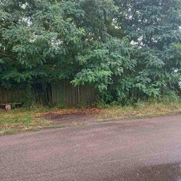 Продаж старенького будинку с. Шибене