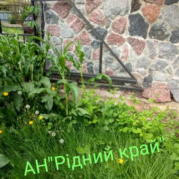 Провулок Михайліченка